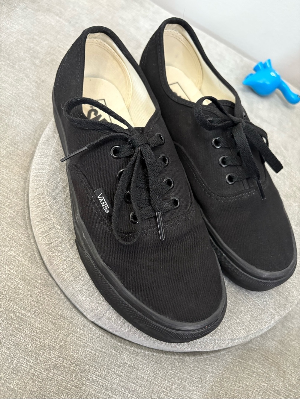 Vans Black Canvas Low-Top Sneakers